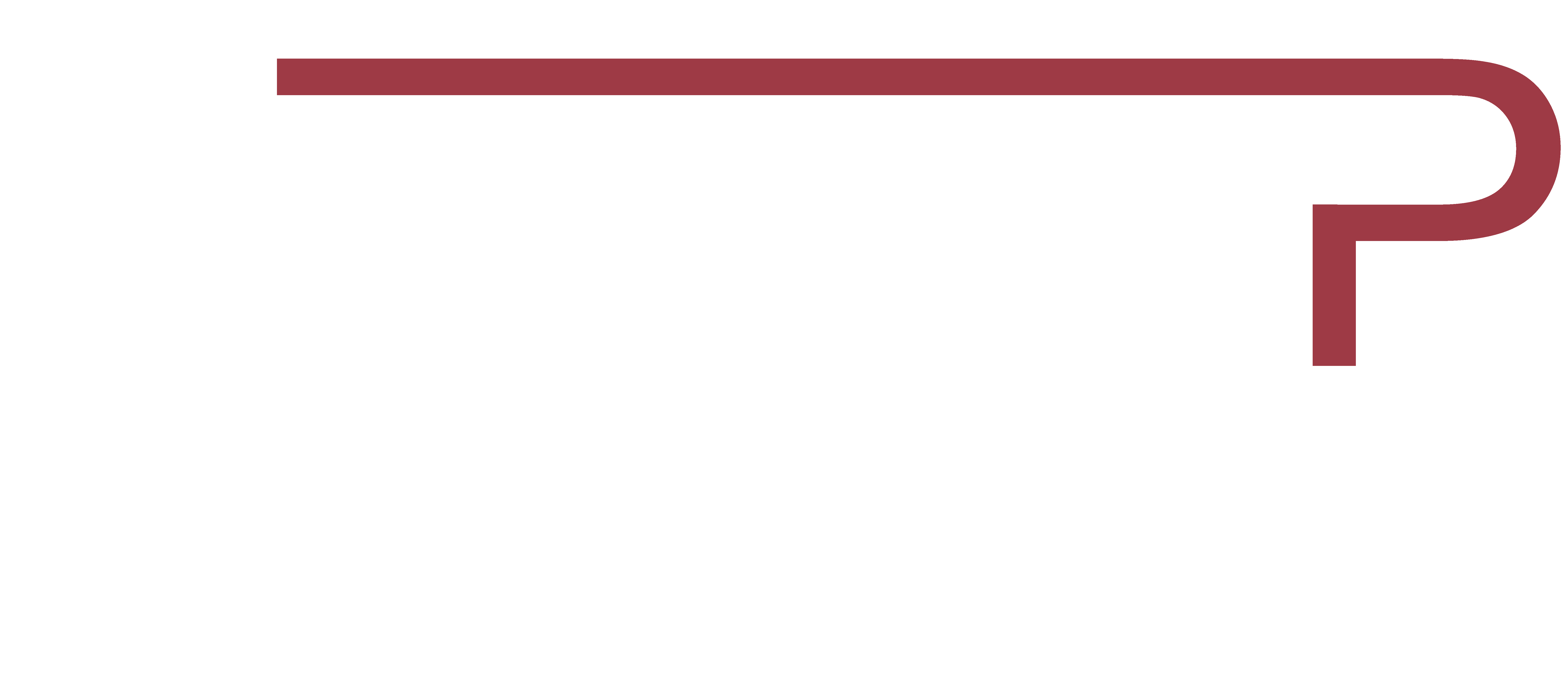 Forus-P Cyber Security